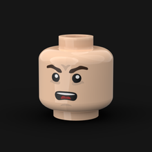 Load image into Gallery viewer, Head #006